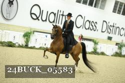 24BUCK_05583 thumbnail