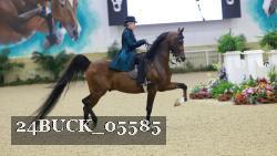 24BUCK_05585 thumbnail