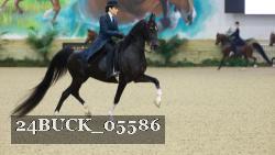 24BUCK_05586 thumbnail