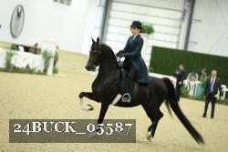 24BUCK_05587 thumbnail