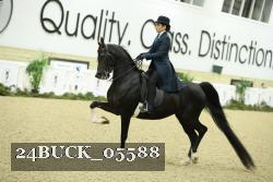 24BUCK_05588 thumbnail