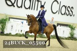 24BUCK_05590 thumbnail
