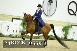 24BUCK_05591 thumbnail