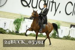 24BUCK_05594 thumbnail