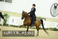 24BUCK_05595 thumbnail