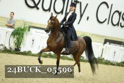 24BUCK_05596 thumbnail