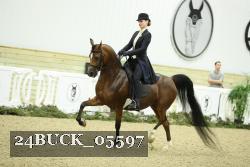 24BUCK_05597 thumbnail