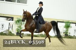 24BUCK_05598 thumbnail