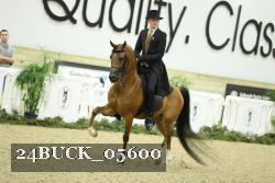24BUCK_05600 thumbnail