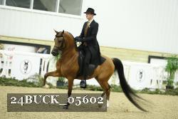 24BUCK_05602 thumbnail