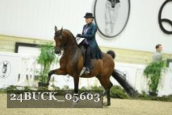 24BUCK_05603 thumbnail