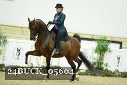 24BUCK_05604 thumbnail