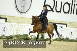24BUCK_05607 thumbnail
