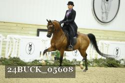 24BUCK_05608 thumbnail