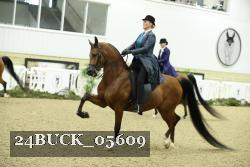 24BUCK_05609 thumbnail