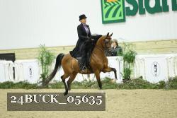 24BUCK_05635 thumbnail
