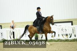 24BUCK_05638 thumbnail