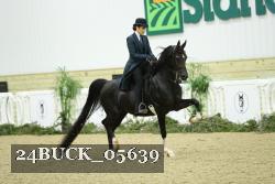 24BUCK_05639 thumbnail