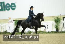 24BUCK_05640 thumbnail