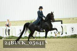 24BUCK_05641 thumbnail