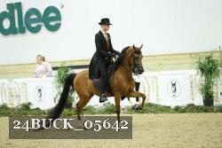 24BUCK_05642 thumbnail