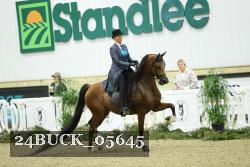 24BUCK_05645 thumbnail