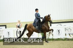 24BUCK_05646 thumbnail