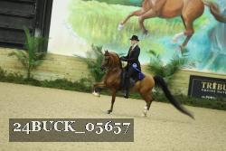 24BUCK_05657 thumbnail