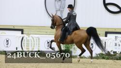 24BUCK_05670 thumbnail