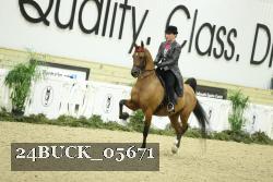 24BUCK_05671 thumbnail