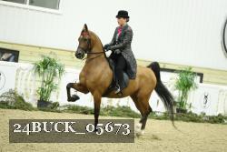 24BUCK_05673 thumbnail