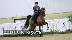 24BUCK_05678 thumbnail