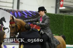 24BUCK_05680 thumbnail
