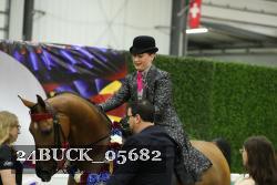 24BUCK_05682 thumbnail
