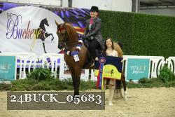 24BUCK_05683 thumbnail