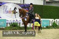 24BUCK_05685 thumbnail