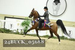 24BUCK_05688 thumbnail