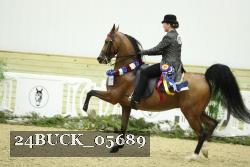 24BUCK_05689 thumbnail