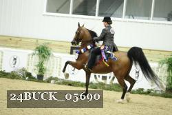 24BUCK_05690 thumbnail