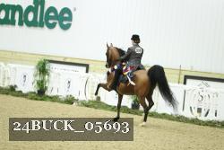 24BUCK_05693 thumbnail