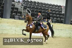 24BUCK_05700 thumbnail