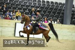 24BUCK_05702 thumbnail