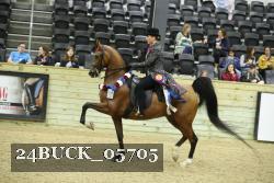 24BUCK_05705 thumbnail