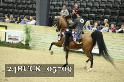 24BUCK_05709 thumbnail