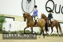 24BUCK_05714 thumbnail