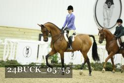 24BUCK_05715 thumbnail