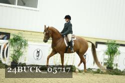 24BUCK_05717 thumbnail