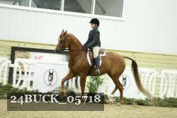 24BUCK_05718 thumbnail
