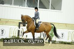24BUCK_05720 thumbnail