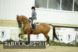 24BUCK_05721 thumbnail